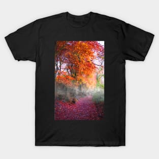 Cotswolds Way woodland T-Shirt